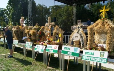 LGD „ZIELONE SIOŁO” na imprezach plenerowych