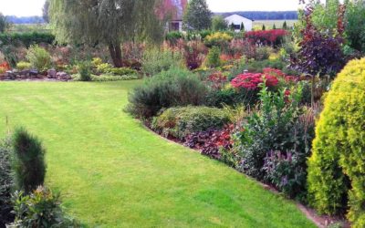 Zapraszamy na warsztaty „Planowanie Roślin w Ogrodzie”