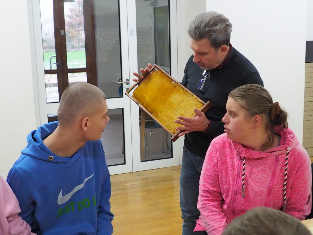 Młodzież ogląda ramkę pszczelarską, którą pokazuje osoba prowadząca warsztaty