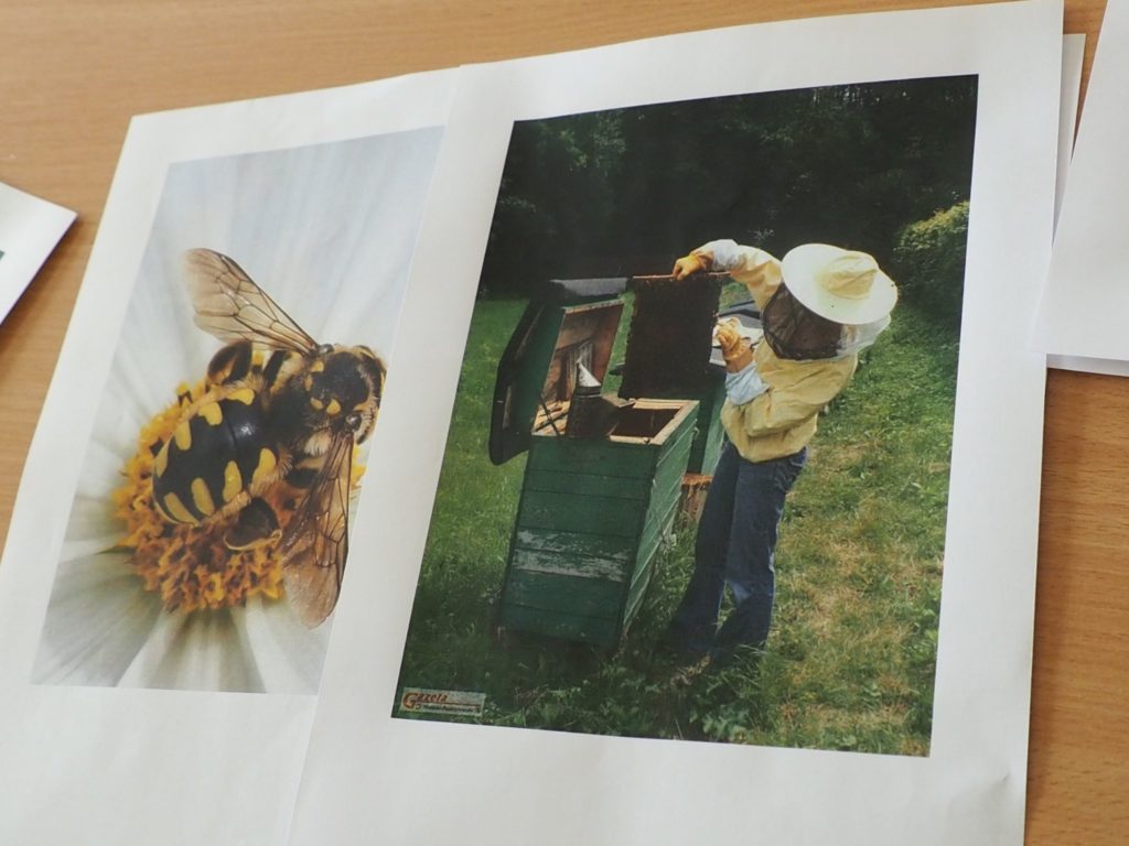 Zdjęcie przedstawiające pszczoły i pszczelarza podczas pracy przy ulu