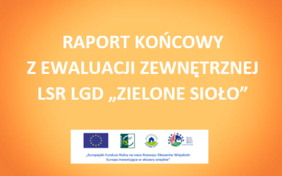Ewaluacja zewnętrzna realizacji Strategii Rozwoju Lokalnego Kierowanego przez Społeczność (LSR) na lata 2014 – 2020