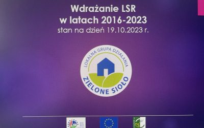 Wdrażanie LSR w latach 2016-2023