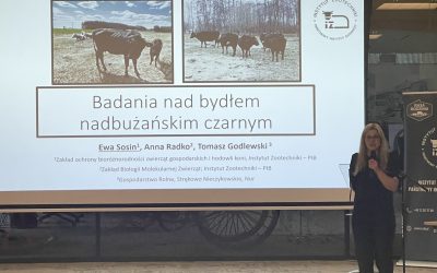 Konferencja w Muzeum Rolnictwa w Ciechanowcu