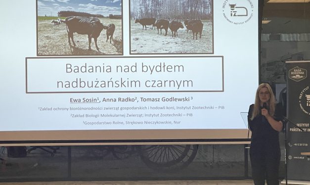 Konferencja w Muzeum Rolnictwa w Ciechanowcu