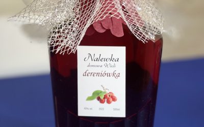 Laur Marszałka Województwa Mazowieckiego